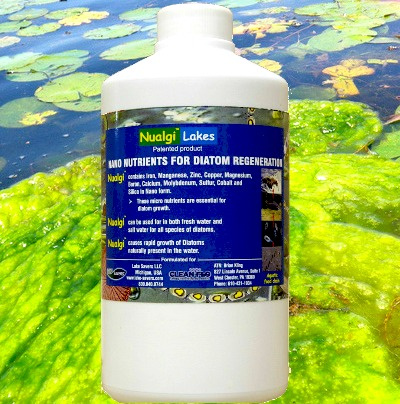 Get rid of algae, Chemicals, lake pond Algae removal, NuAlgae, Algaecide