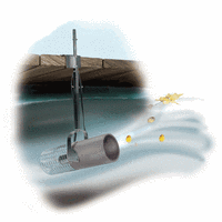 AquaSweep get rid of lake muck